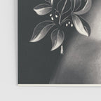 Night Bloom Poster Gallery Image 3