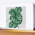 Monstera Wall Mural Gallery Image 2