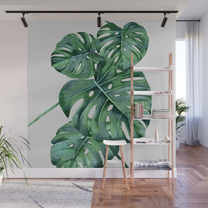 Monstera Wall Mural Gallery Image 1