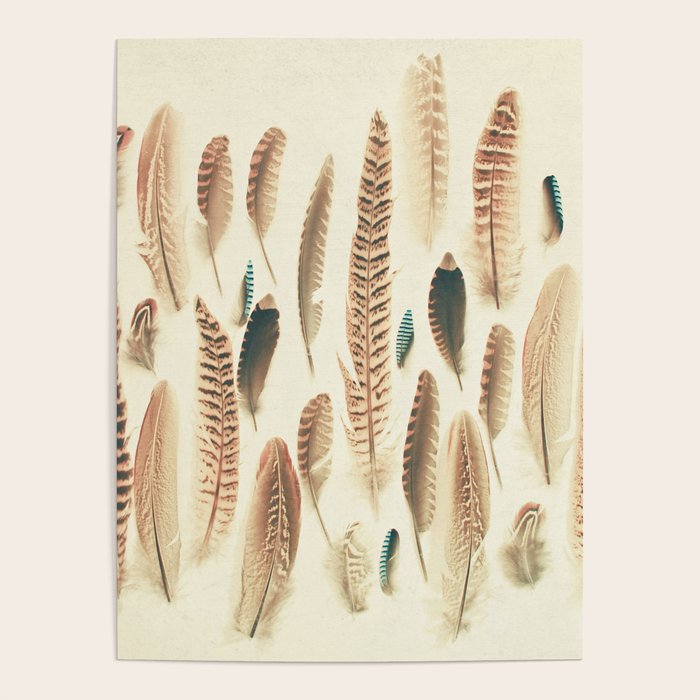 Found Feathers Poster Gallery Image 4