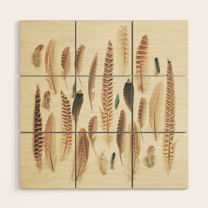 Found Feathers Wood Wall Art Gallery Image 1