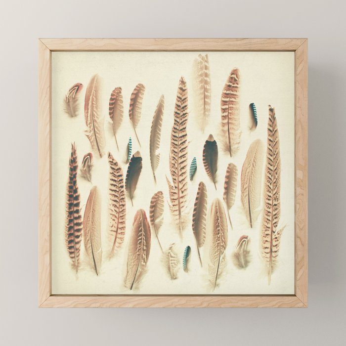 Found Feathers Mini Art Print Gallery Image 1