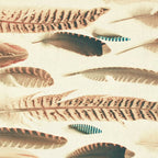 Found Feathers Coffee Mug Gallery Image 2