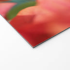 Bright Star #1 Welcome Mat Gallery Image 2