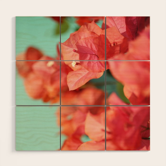 Bright Star #1 Wood Wall Art Gallery Image 1