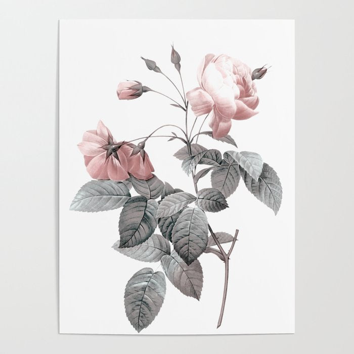 Rose 2 Poster Gallery Image 1