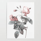 Rose 2 Poster Gallery Image 4