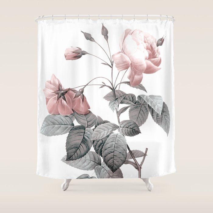 Rose 2 Shower Curtain Gallery Image 1