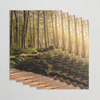 Forest Mountain Wanderlust Boardwalk - Nature Photography Wrapping Paper Gallery Image 3