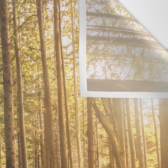 Forest Mountain Wanderlust Boardwalk - Nature Photography Wall Tapestry Gallery Image 3