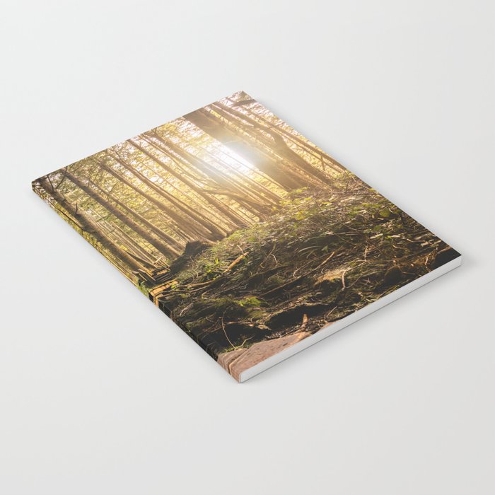 Forest Mountain Wanderlust Boardwalk - Nature Photography Notebook Gallery Image 2