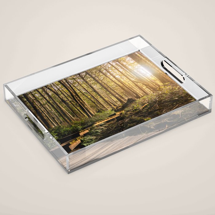 Forest Mountain Wanderlust Boardwalk - Nature Photography Acrylic Tray Gallery Image 1