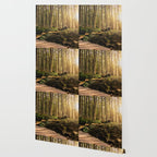 Forest Mountain Wanderlust Boardwalk - Nature Photography Wallpaper Gallery Image 2