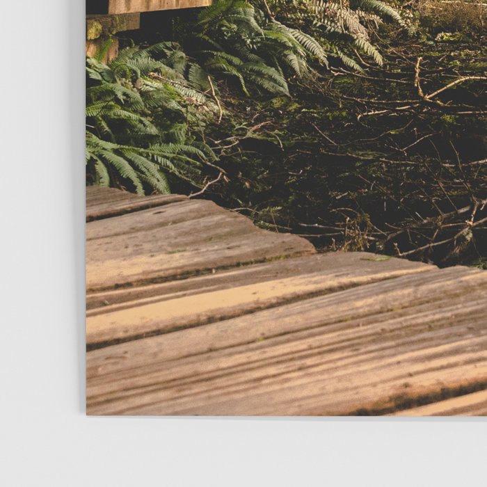 Forest Mountain Wanderlust Boardwalk - Nature Photography Poster Gallery Image 3