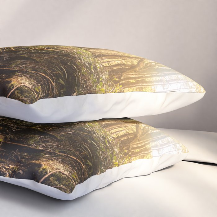 Forest Mountain Wanderlust Boardwalk - Nature Photography Pillow Sham Gallery Image 3