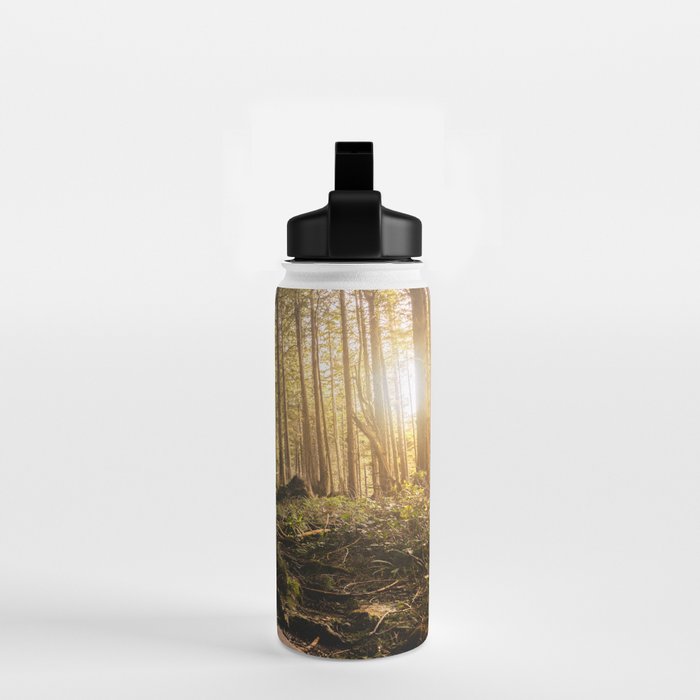 Forest Mountain Wanderlust Boardwalk - Nature Photography Water Bottle Gallery Image 2