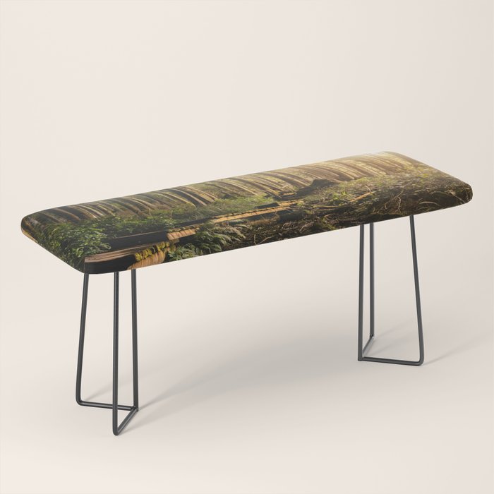 Forest Mountain Wanderlust Boardwalk - Nature Photography Bench Gallery Image 1