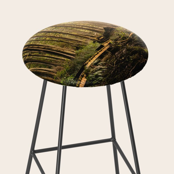 Forest Mountain Wanderlust Boardwalk - Nature Photography Stool Gallery Image 2