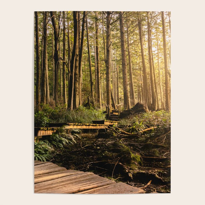 Forest Mountain Wanderlust Boardwalk - Nature Photography Poster Gallery Image 1