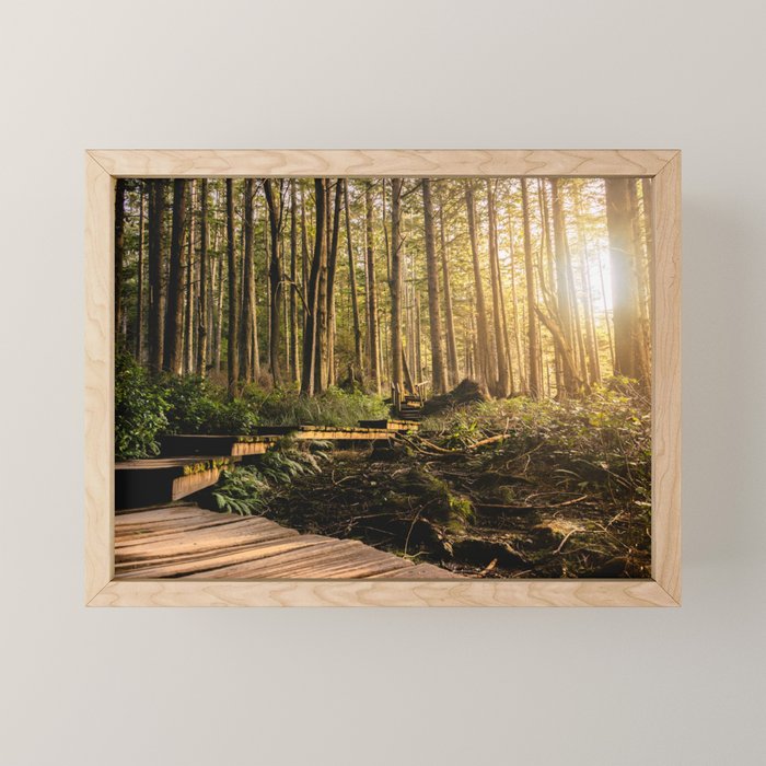 Forest Mountain Wanderlust Boardwalk - Nature Photography Mini Art Print Gallery Image 1