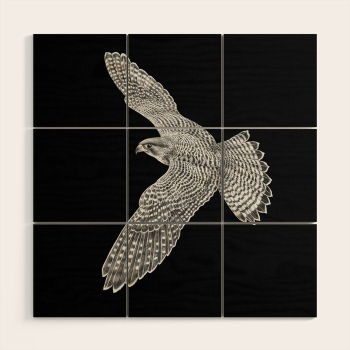 Peregrine Falcon Wood Wall Art Gallery Image 1