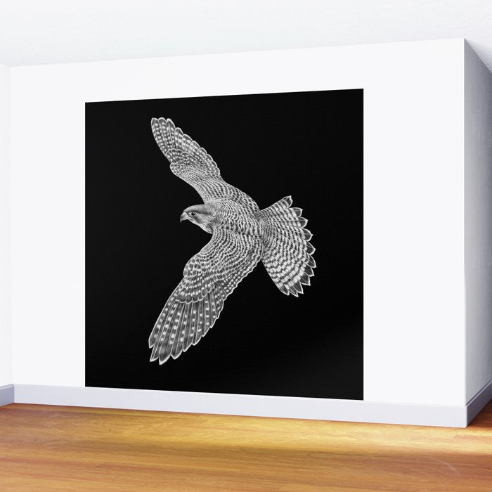 Peregrine Falcon Wall Mural Gallery Image 2