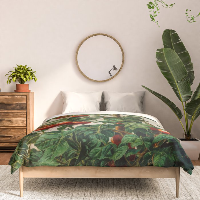 Japanese Wall Art Botanical Art Tomato Girl Summer Sage Green Painting Japandi Poster Kitchen Art Comforter Gallery Image 3