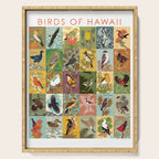 Birds of Hawaii Serving Tray Gallery Image 1