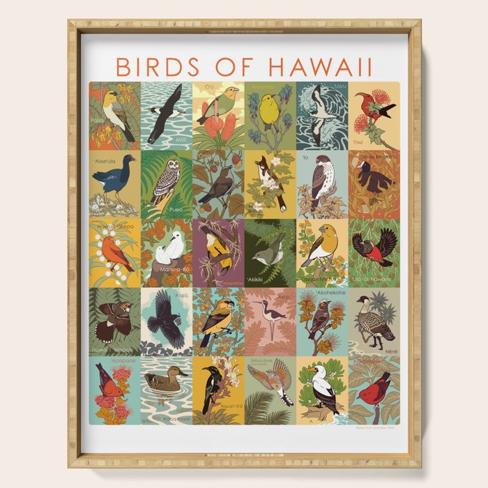 Birds of Hawaii Serving Tray Gallery Image 1