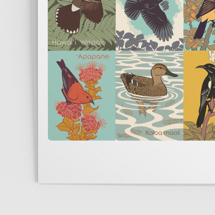Birds of Hawaii Poster Gallery Image 3