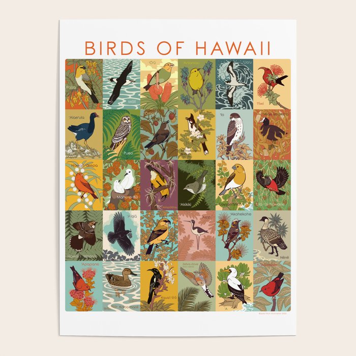 Birds of Hawaii Poster Gallery Image 4