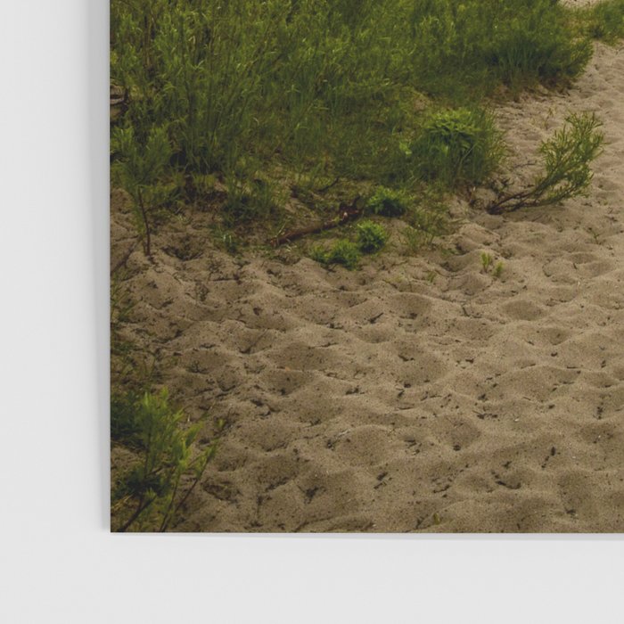Michigan Dunes 4 - landscape photograph travel lake michigan beach nature art Poster Gallery Image 3