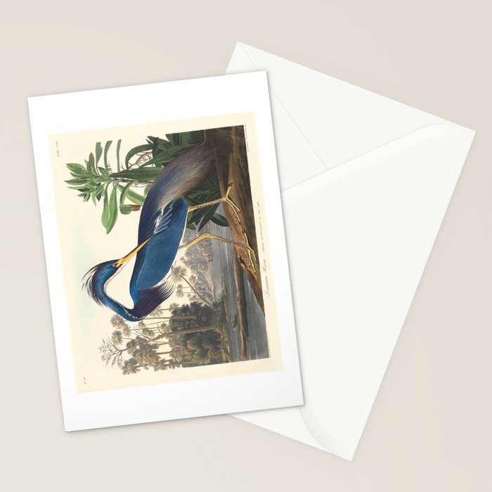 Louisiana Heron, Robert Havell after John James Audubon Stationery Card Gallery Image 2