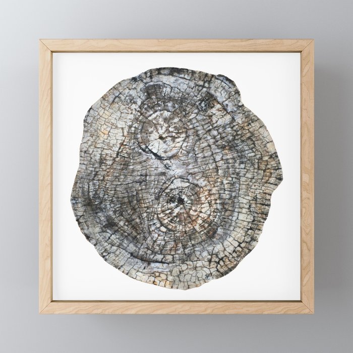 Tree Rings Mini Art Print Gallery Image 1