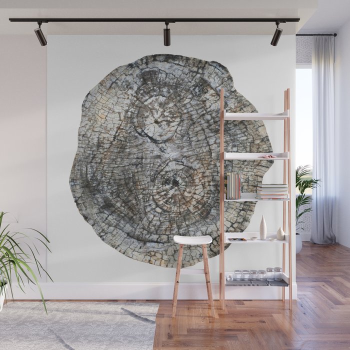 Tree Rings Wall Mural Gallery Image 1