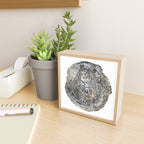 Tree Rings Mini Art Print Gallery Image 2