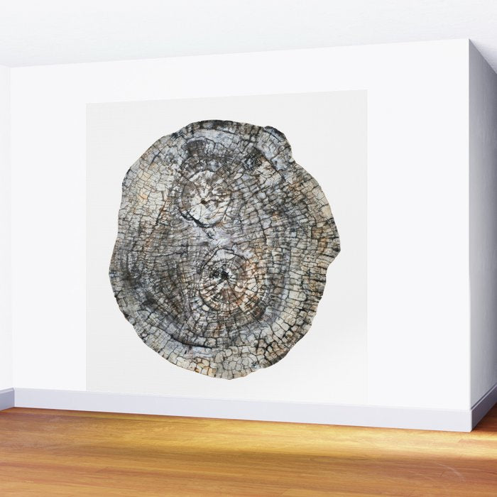 Tree Rings Wall Mural Gallery Image 2