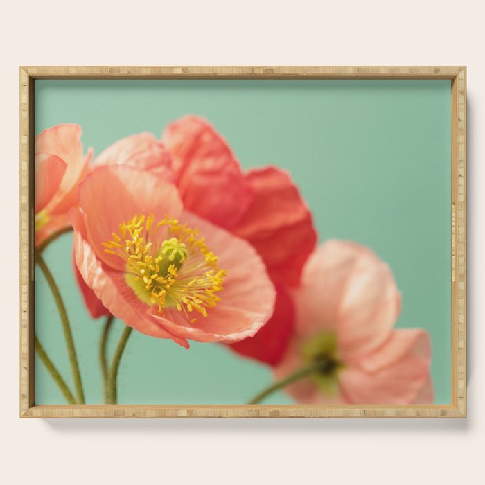 Pastel Poppy #1 Serving Tray Gallery Image 1