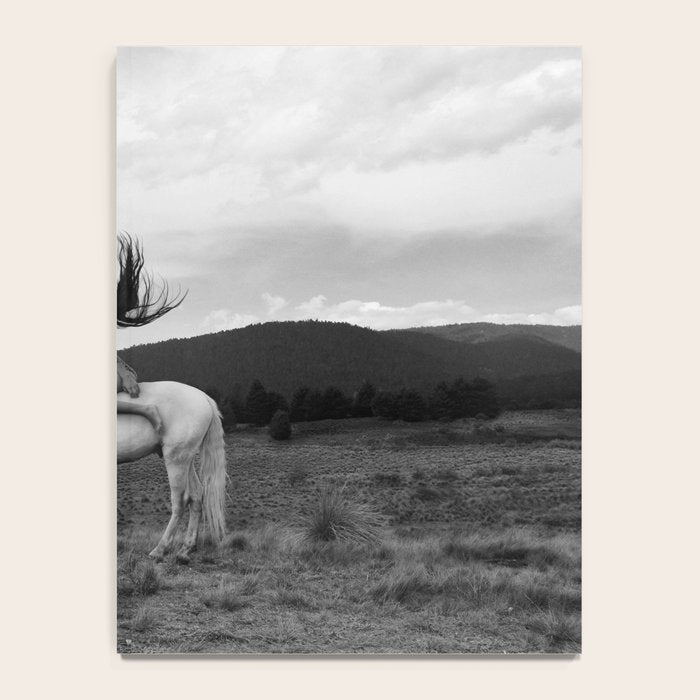 Wild horses couldn't take you from me; young woman on a white horse throwing her hair black wilderness black and white photograph - photography - photographs Notebook Gallery Image 4