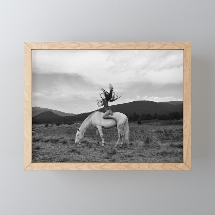 Wild horses couldn't take you from me; young woman on a white horse throwing her hair black wilderness black and white photograph - photography - photographs Mini Art Print Gallery Image 1