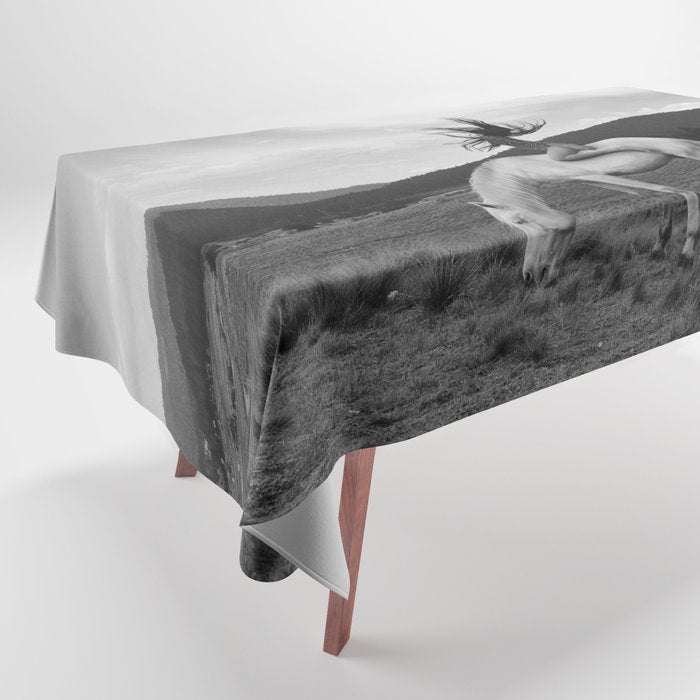 Wild horses couldn't take you from me; young woman on a white horse throwing her hair black wilderness black and white photograph - photography - photographs Tablecloth Gallery Image 1
