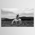Wild horses couldn't take you from me; young woman on a white horse throwing her hair black wilderness black and white photograph - photography - photographs Tablecloth Gallery Image 2