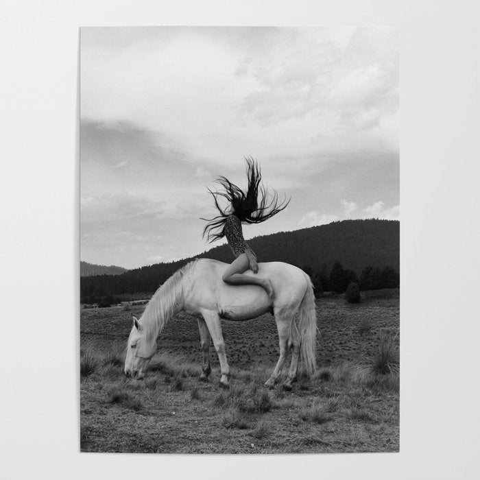 Wild horses couldn't take you from me; young woman on a white horse throwing her hair black wilderness black and white photograph - photography - photographs Poster Gallery Image 4