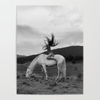 Wild horses couldn't take you from me; young woman on a white horse throwing her hair black wilderness black and white photograph - photography - photographs Poster Gallery Image 4