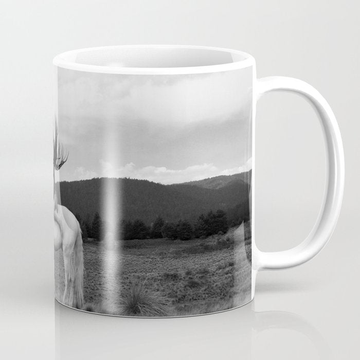Wild horses couldn't take you from me; young woman on a white horse throwing her hair black wilderness black and white photograph - photography - photographs Coffee Mug Gallery Image 1