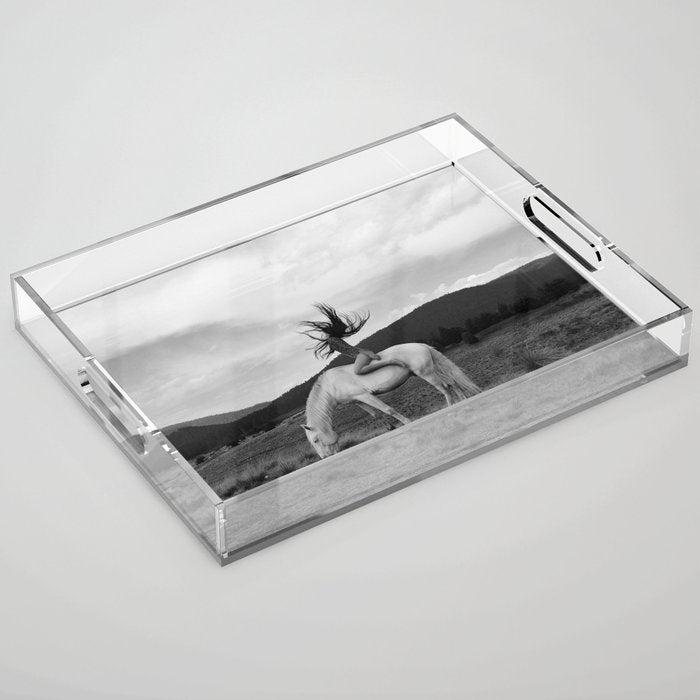 Wild horses couldn't take you from me; young woman on a white horse throwing her hair black wilderness black and white photograph - photography - photographs Acrylic Tray Gallery Image 1