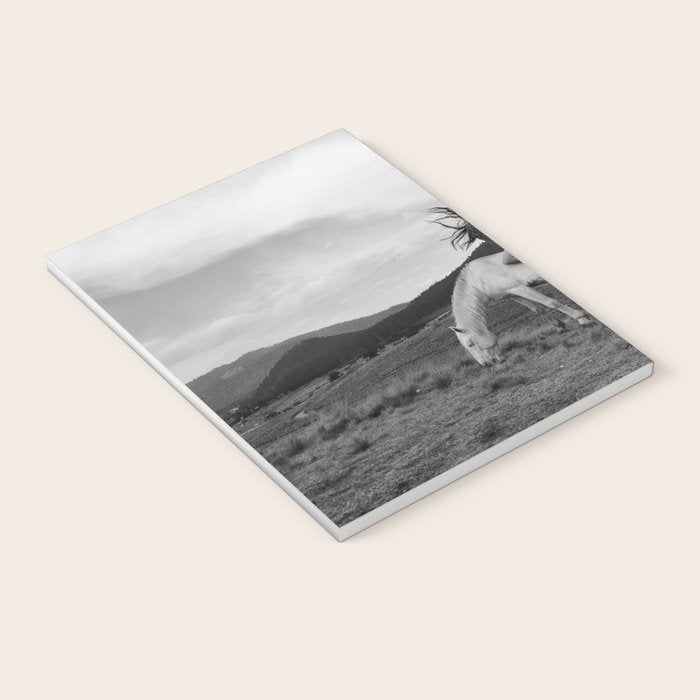Wild horses couldn't take you from me; young woman on a white horse throwing her hair black wilderness black and white photograph - photography - photographs Notebook Gallery Image 3