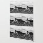 Wild horses couldn't take you from me; young woman on a white horse throwing her hair black wilderness black and white photograph - photography - photographs Wallpaper Gallery Image 2