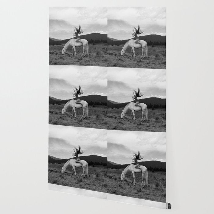 Wild horses couldn't take you from me; young woman on a white horse throwing her hair black wilderness black and white photograph - photography - photographs Wallpaper Gallery Image 2