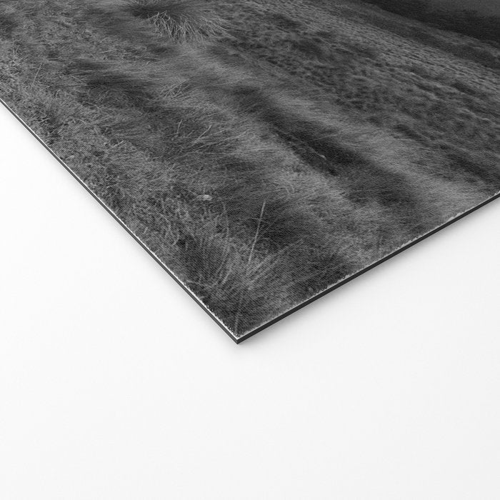 Wild horses couldn't take you from me; young woman on a white horse throwing her hair black wilderness black and white photograph - photography - photographs Welcome Mat Gallery Image 2